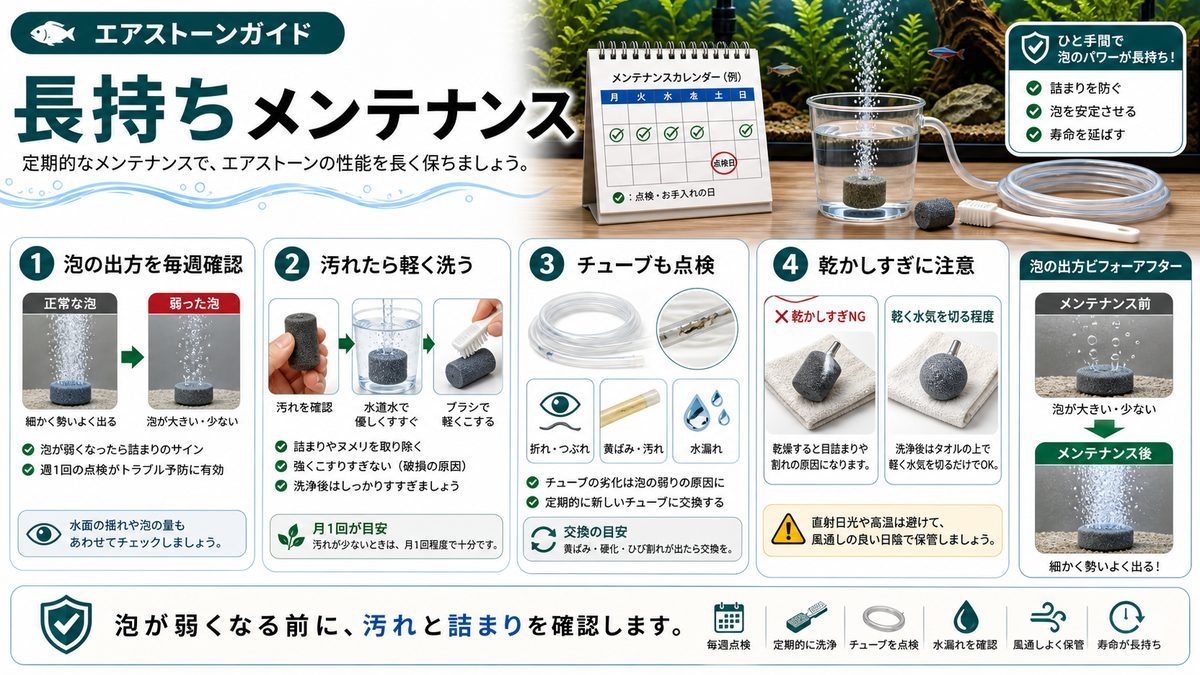メンテナンス頻度と長持ちさせる方法の要点をまとめた淡水魚飼育インフォグラフィック