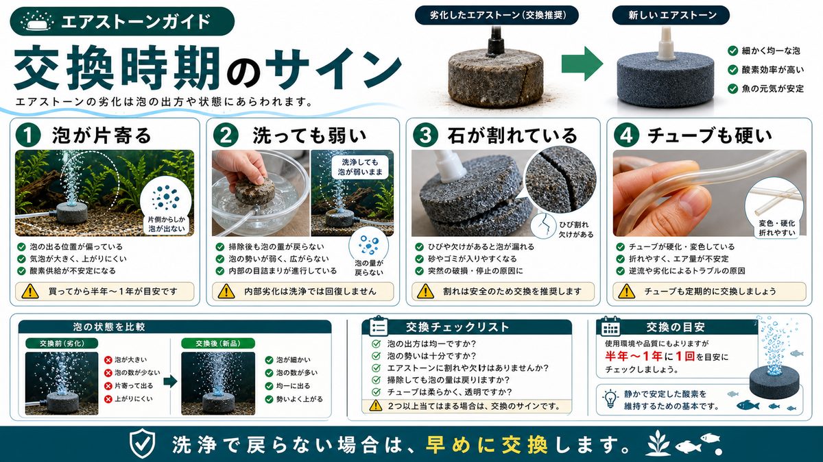 交換時期の見極め方の要点をまとめた淡水魚飼育インフォグラフィック