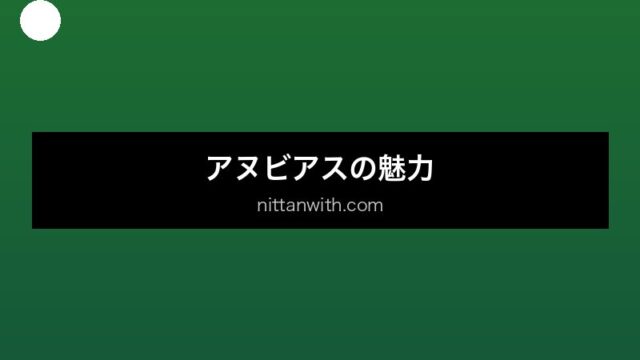 aquarium-anubias セクション画像