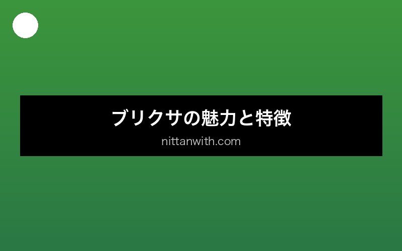 aquarium-blyxa セクション画像