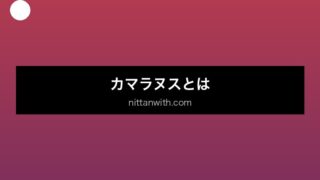 aquarium-camallanus セクション画像