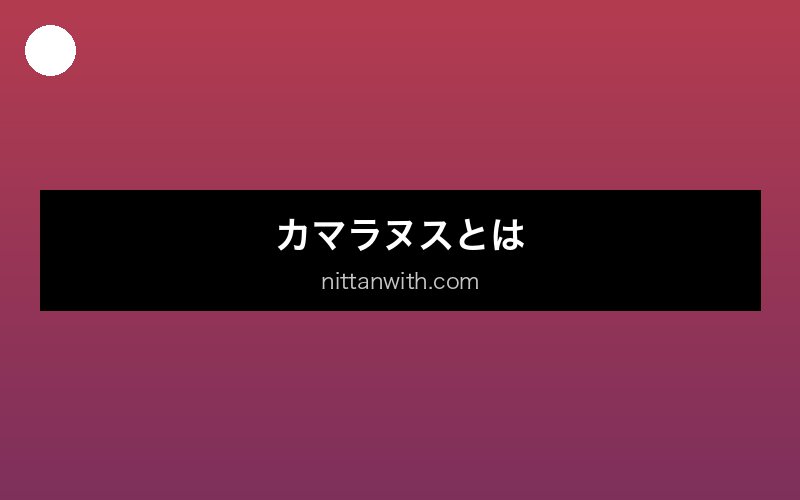 aquarium-camallanus セクション画像