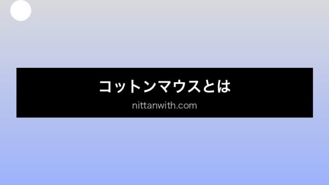 aquarium-cotton-mouth セクション画像