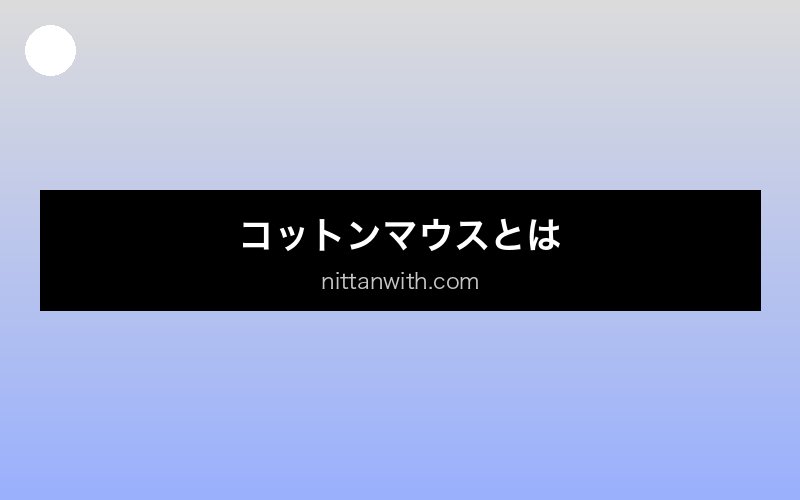 aquarium-cotton-mouth セクション画像