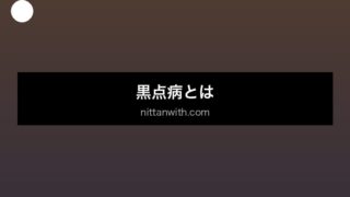 aquarium-eye-fluke セクション画像