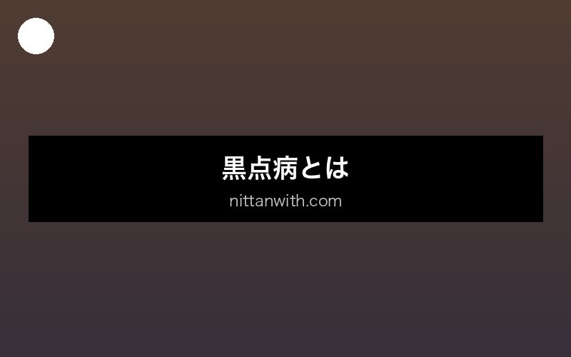aquarium-eye-fluke セクション画像