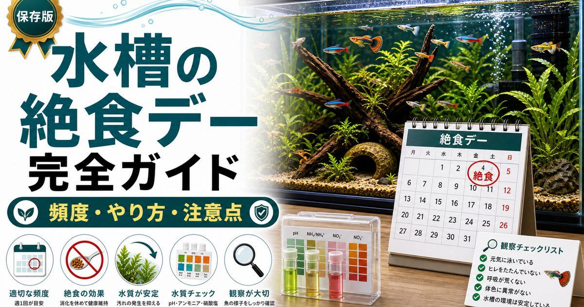 水槽の絶食デー完全ガイド｜なぜ魚に絶食が必要か・正しいやり方と効果の要点を伝える淡水魚記事アイキャッチ画像