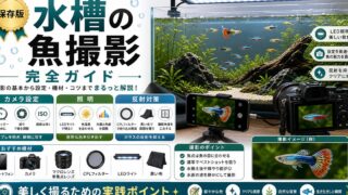 水槽の魚撮影完全ガイド｜美しく撮るカメラ設定と照明テクニックの要点を伝える淡水魚記事アイキャッチ画像