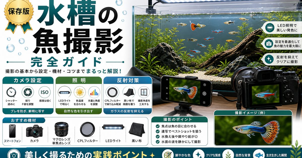 水槽の魚撮影完全ガイド｜美しく撮るカメラ設定と照明テクニックの要点を伝える淡水魚記事アイキャッチ画像