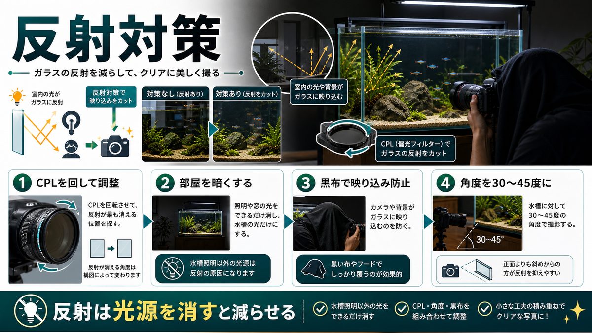 ガラスの反射対策の要点をまとめた淡水魚飼育インフォグラフィック
