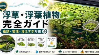 浮草・浮葉植物完全ガイド｜アマゾンフロッグピット・アマフロの選び方の要点を伝える淡水魚記事アイキャッチ画像