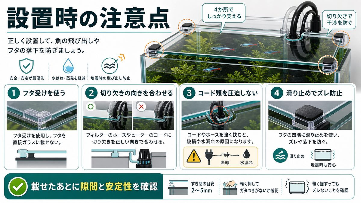 設置時の注意点の要点をまとめた淡水魚飼育インフォグラフィック