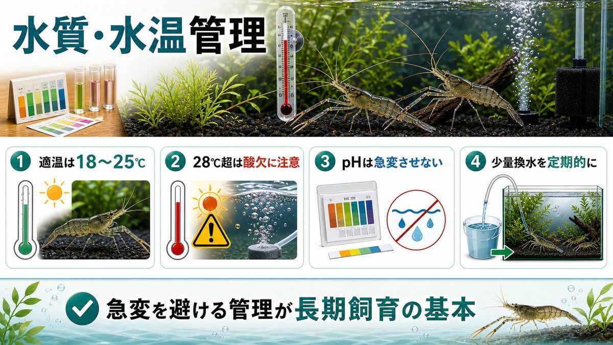 水質・水温管理の要点をまとめた淡水魚飼育インフォグラフィック