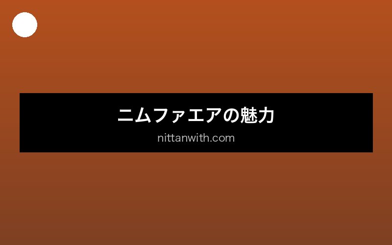 aquarium-nymphaea セクション画像