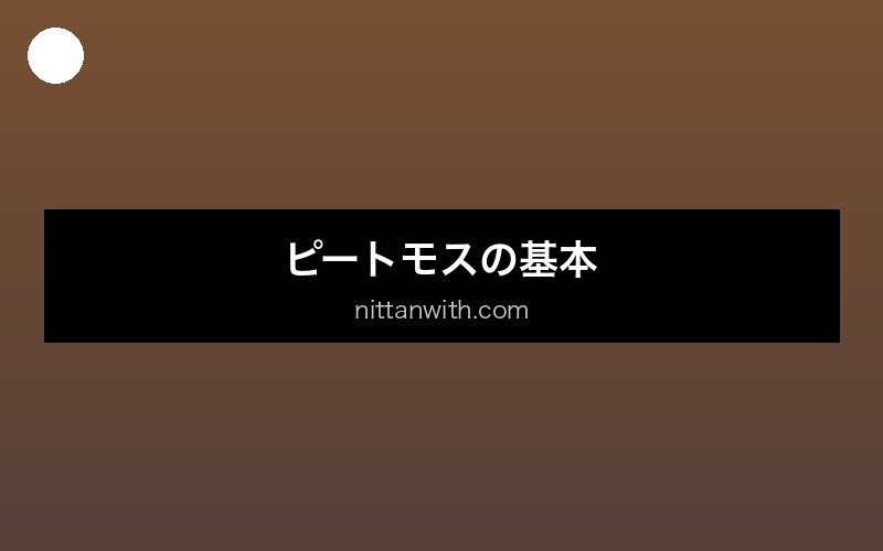 aquarium-peat-moss セクション画像
