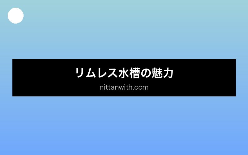 aquarium-rimless セクション画像