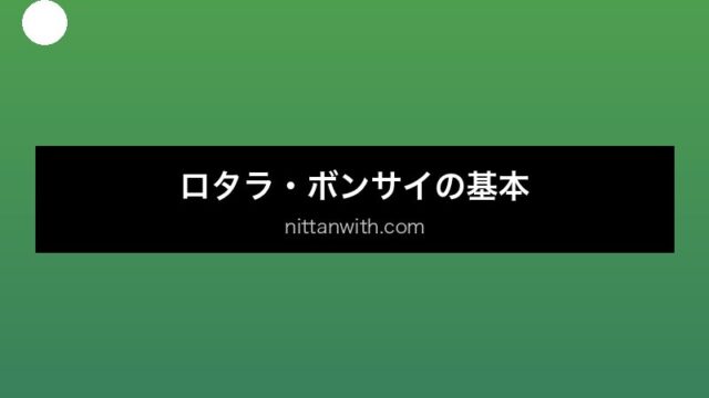 aquarium-rotala-bonsai セクション画像