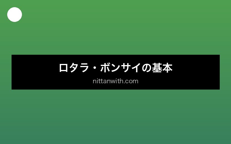aquarium-rotala-bonsai セクション画像