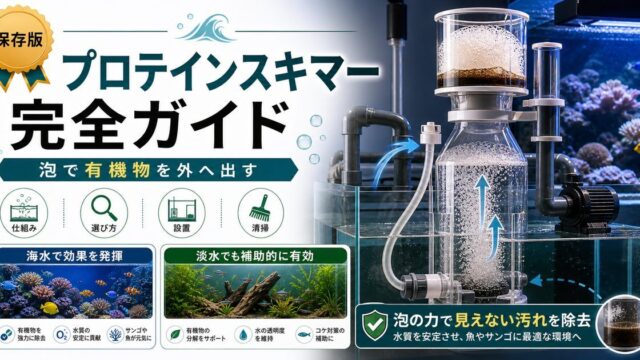 水槽プロテインスキマー完全ガイド｜淡水でも使える有機物除去機器の要点を伝える淡水魚記事アイキャッチ画像