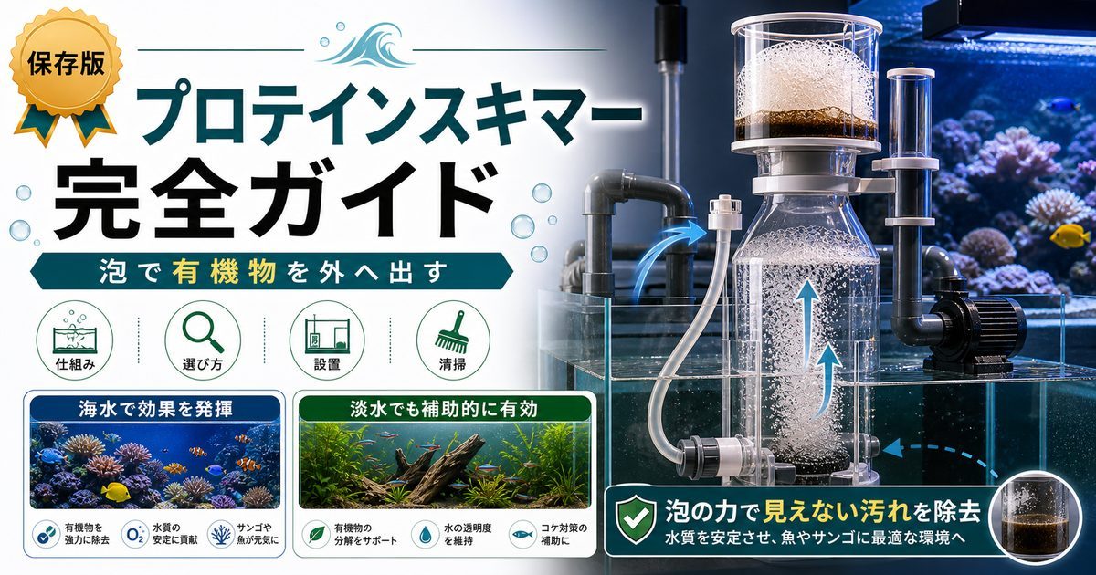 水槽プロテインスキマー完全ガイド｜淡水でも使える有機物除去機器の要点を伝える淡水魚記事アイキャッチ画像