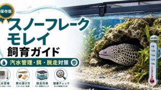 スノーフレークモレイ飼育ガイドの要点を伝える淡水魚記事アイキャッチ画像