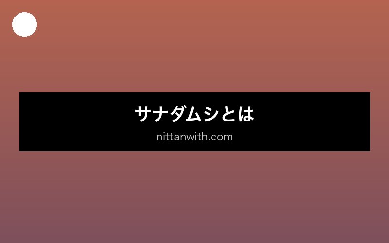 aquarium-tapeworm セクション画像