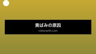 aquarium-yellow-water セクション画像