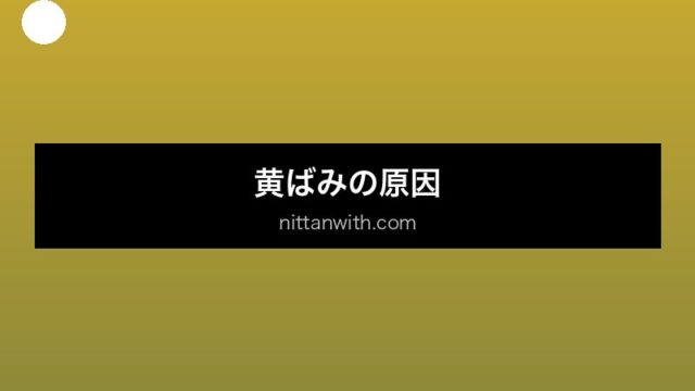 aquarium-yellow-water セクション画像