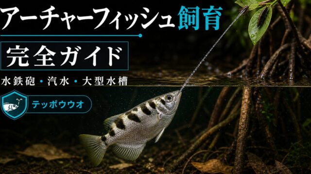 アーチャーフィッシュ（テッポウウオ）飼育完全ガイド｜水鉄砲の名手・汽水・大型水槽の要点を伝える淡水魚記事アイキャッチ画像