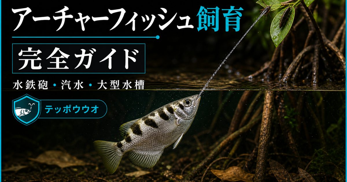 アーチャーフィッシュ（テッポウウオ）飼育完全ガイド｜水鉄砲の名手・汽水・大型水槽の要点を伝える淡水魚記事アイキャッチ画像