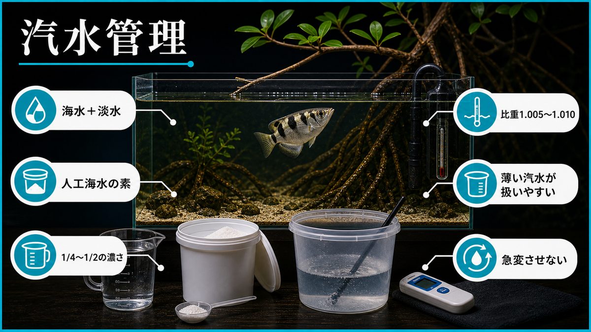 汽水管理の基礎知識の要点をまとめた淡水魚飼育インフォグラフィック