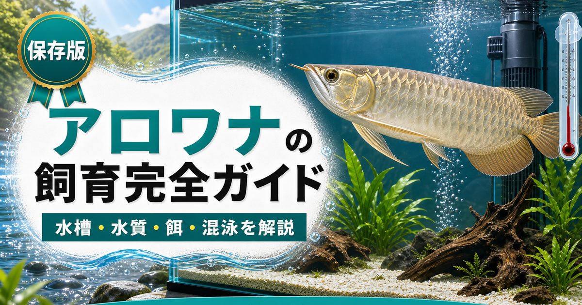 アロワナの飼育完全ガイドの要点を伝える淡水魚記事アイキャッチ画像