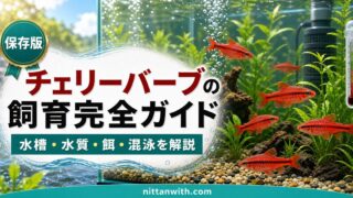 チェリーバーブの飼育完全ガイドの要点を伝える淡水魚記事アイキャッチ画像