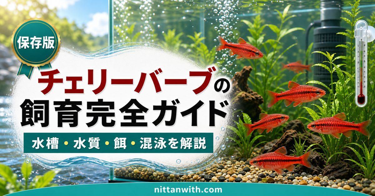 チェリーバーブの飼育完全ガイドの要点を伝える淡水魚記事アイキャッチ画像