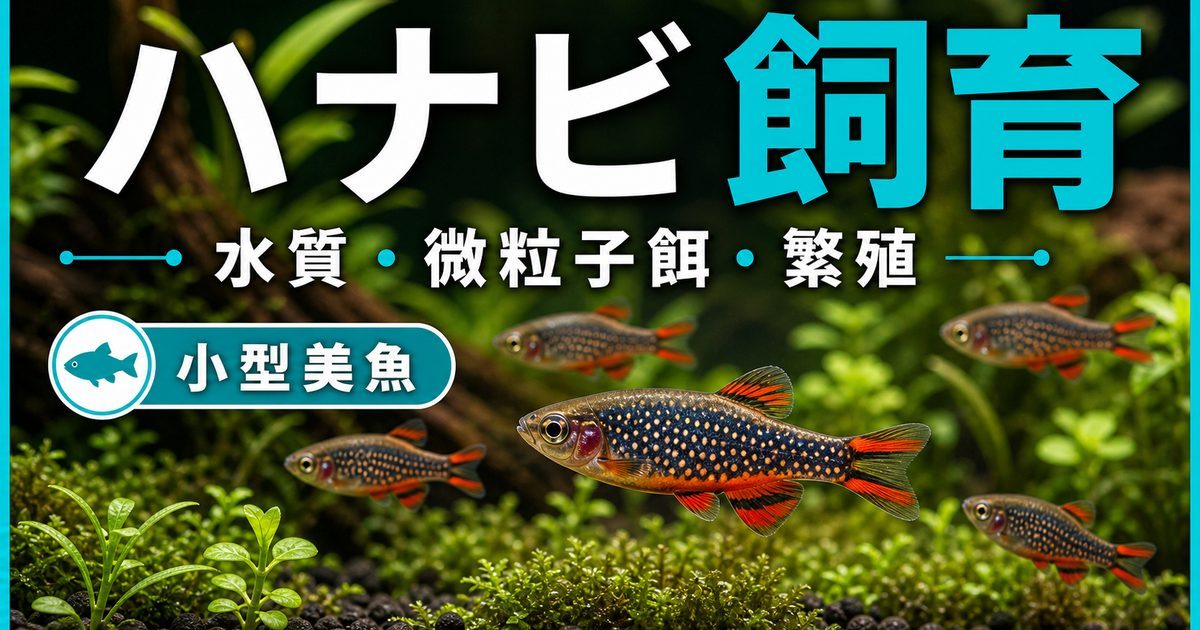 ミクロラスボラ・ハナビ飼育完全ガイド｜小型美魚の水質・餌・繁殖を