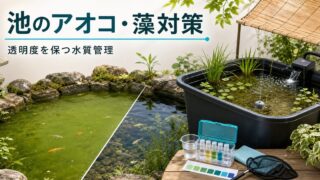 池のアオコ・藻の除去と予防完全ガイド｜透明度を保つ水質管理の要点を伝える淡水魚記事アイキャッチ画像