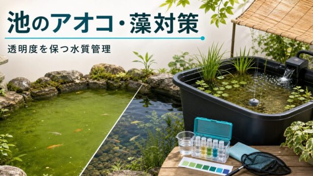 池のアオコ・藻の除去と予防完全ガイド｜透明度を保つ水質管理の要点を伝える淡水魚記事アイキャッチ画像