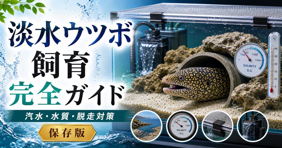 淡水ウツボ（イエローフレークモレイ・ヤマウツボ）飼育完全ガイド｜汽水・生態・飼育環境の要点を伝える淡水魚記事アイキャッチ画像