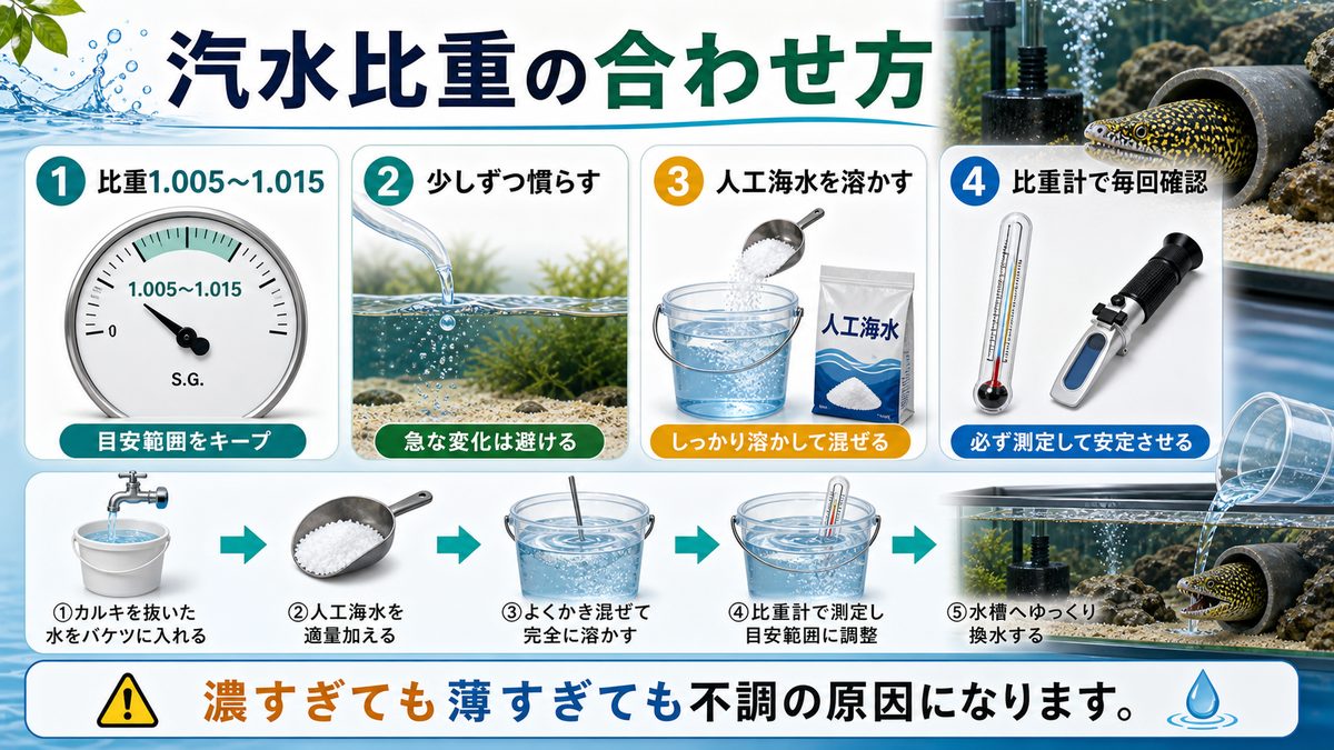 汽水飼育の塩分調整の要点をまとめた淡水魚飼育インフォグラフィック