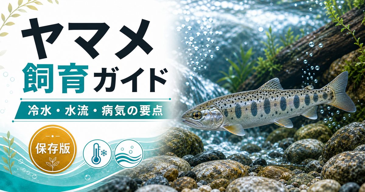 ヤマメ（サクラマス）の飼育方法・餌・病気・混泳・通販を徹底解説！の要点を伝える淡水魚記事アイキャッチ画像