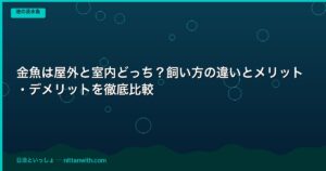 Photo inspiration: Fresh Look at 金魚は屋外と室内どっち 飼い方の違いとメリット デメリットを徹底比較 日淡といっしょ