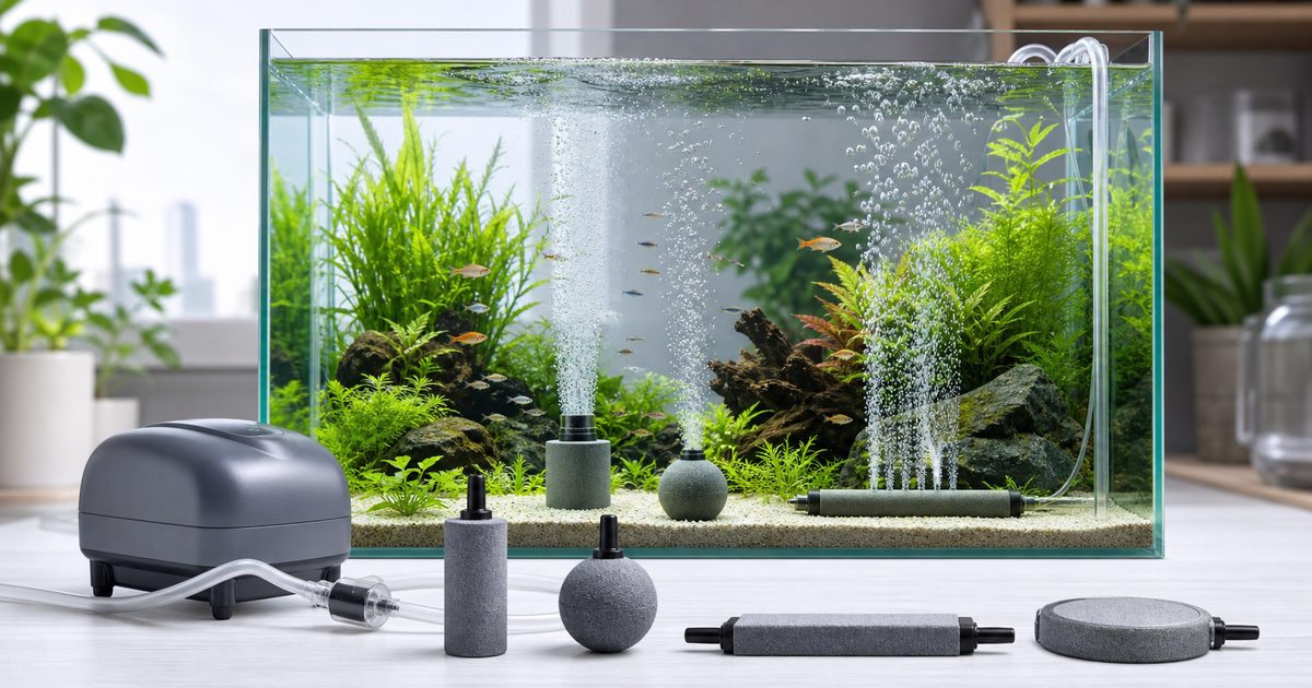 水槽内で複数のエアストーンが泡を出す様子とポンプやチューブを並べた比較ガイドのアイキャッチ画像