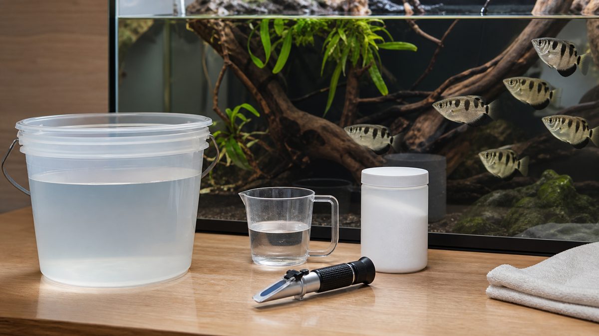 汽水を準備するための水換え容器と比重管理用品