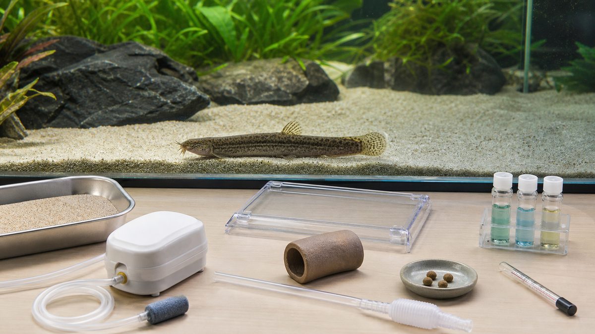 細かい底砂、エアポンプ、フタ、隠れ家、サイフォン、水質検査、沈下性の餌を並べた用品例