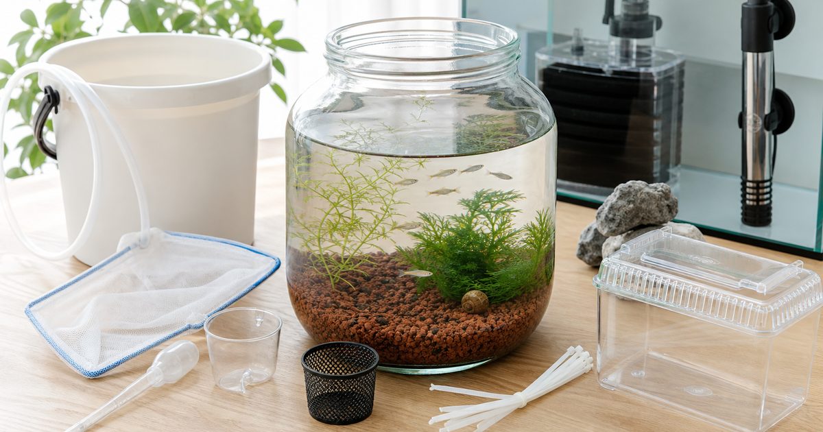100均グッズで作るボトルアクアリウムと水槽用品を並べたアイキャッチ画像