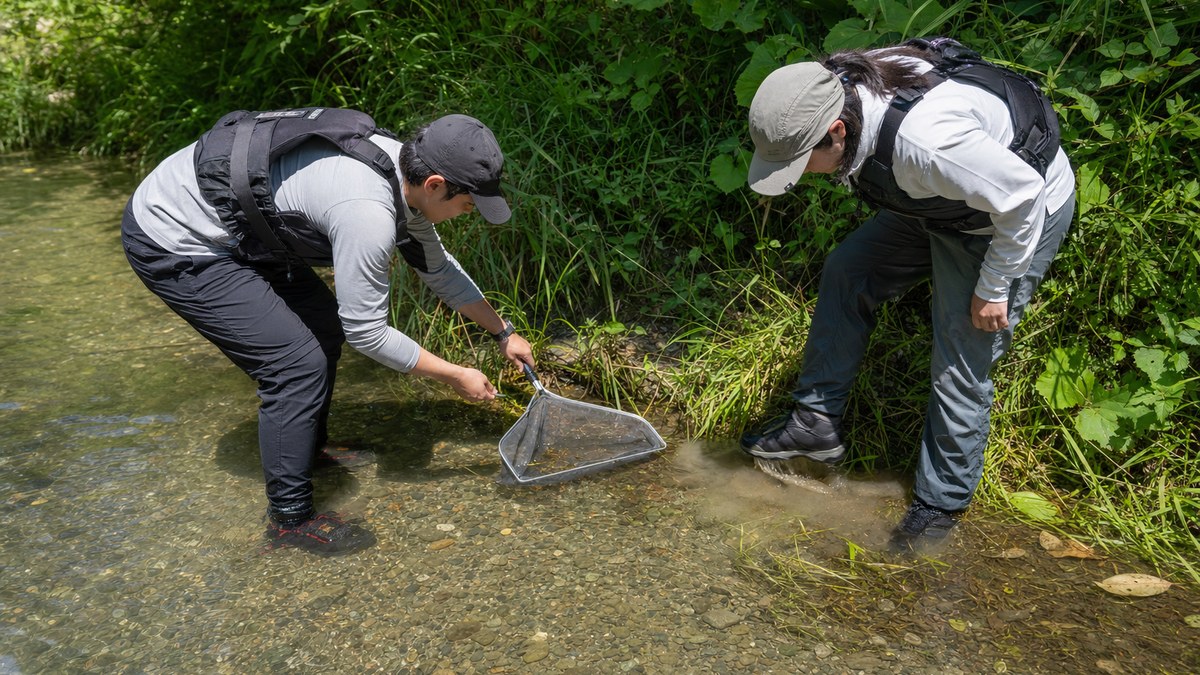 浅い流れで下流側の網を川底へ密着させ上流側を小さく動かす二人の採集方法