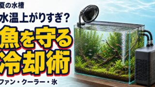 魚を守る冷却術の見出しと冷却ファン・水槽用クーラーを備えた夏の淡水魚水槽