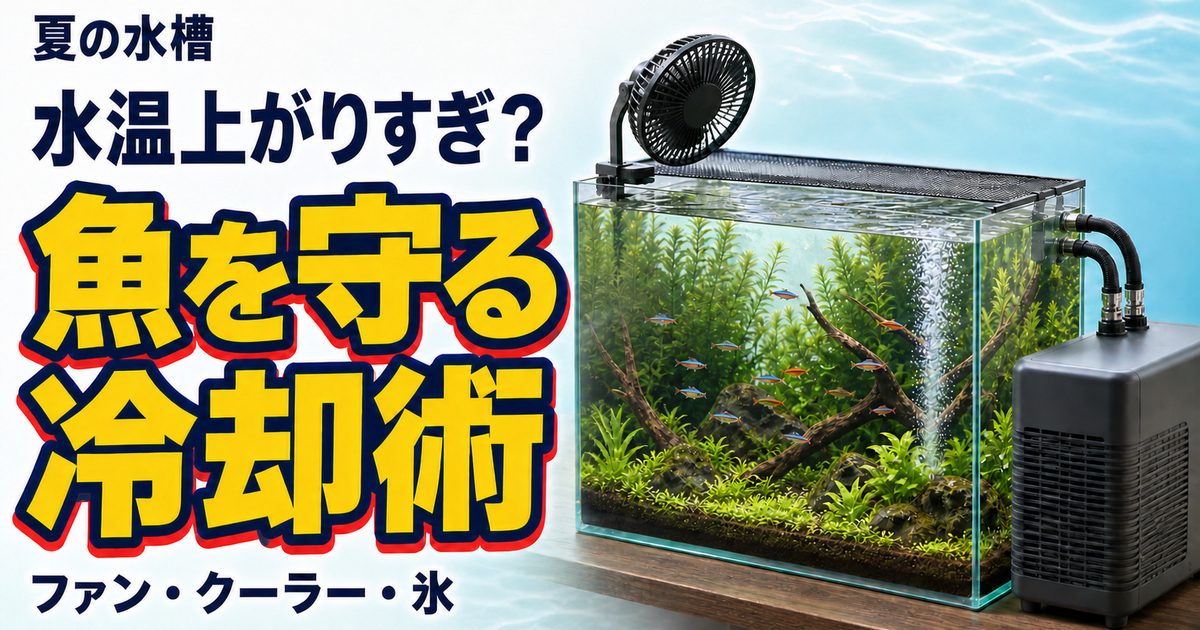 魚を守る冷却術の見出しと冷却ファン・水槽用クーラーを備えた夏の淡水魚水槽