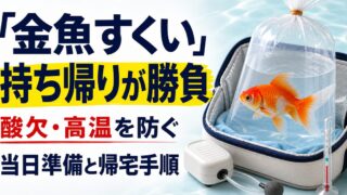 金魚すくいの金魚を酸欠・高温から守る持ち帰り方と帰宅後の手順