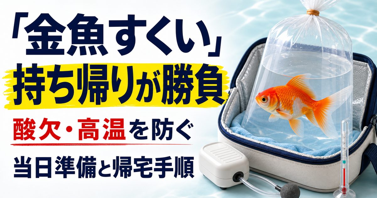 金魚すくいの金魚を酸欠・高温から守る持ち帰り方と帰宅後の手順